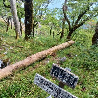 3時間ず〜っと登りが続き、やっと石立山西峰まで来ました。熊出没にビビったのもあって、捨身ヶ獄はスキップ。