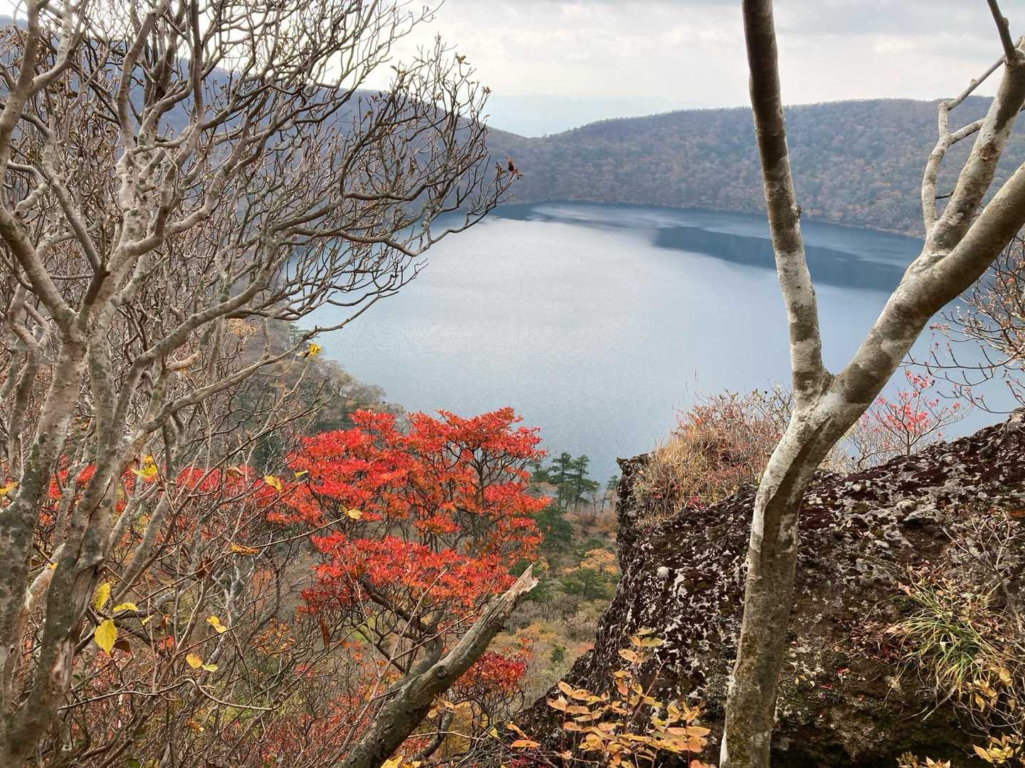 紅葉🍁越しの大浪池✨
せめて青空だったらなぁ〜