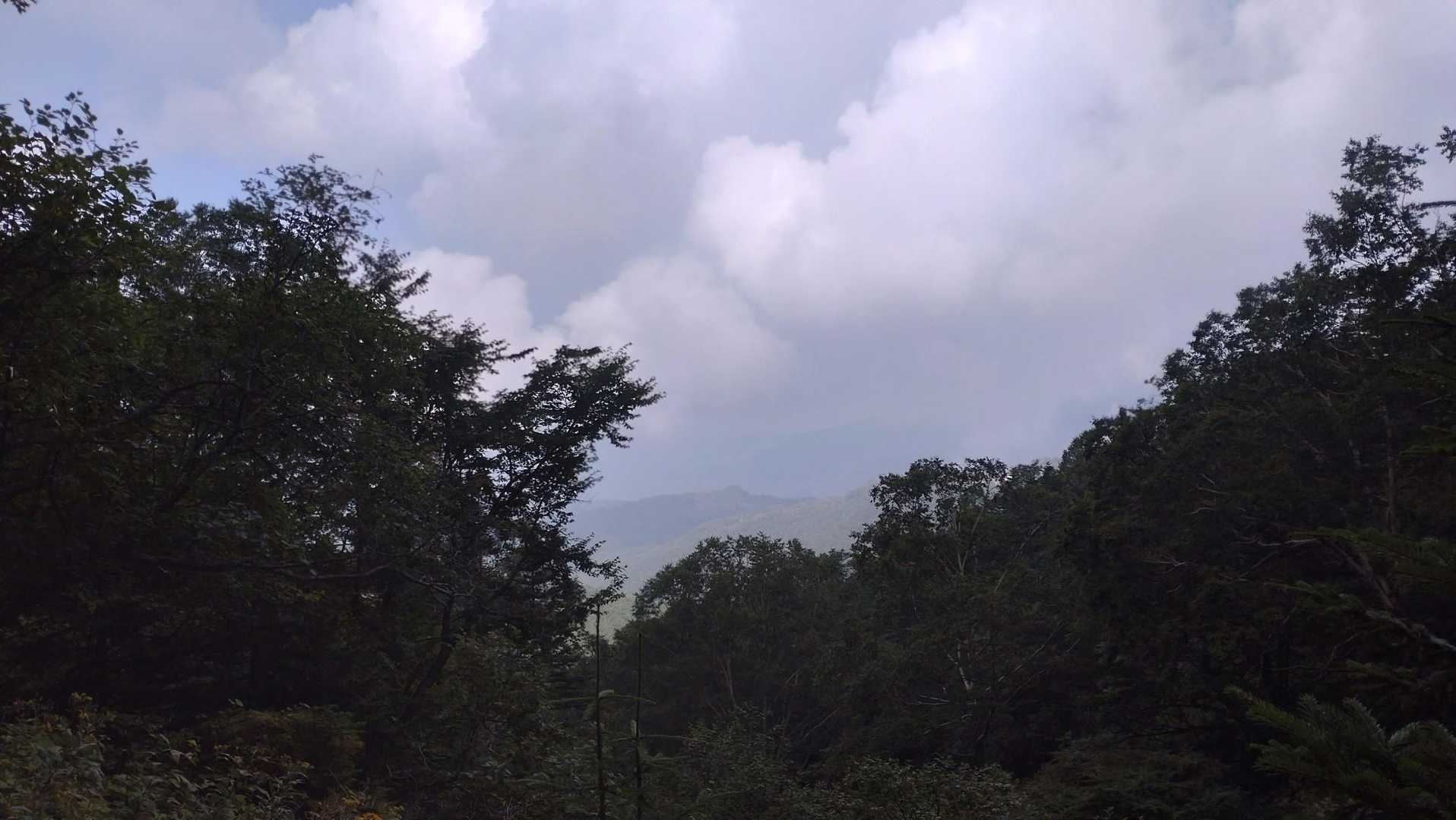 雲が厚い。
午後のカミナリが心配ですが早く歩けない🥲