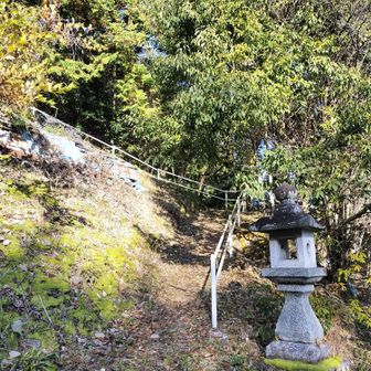 寒すぎて、ここまで舗装路小走りです🏃‍♀️