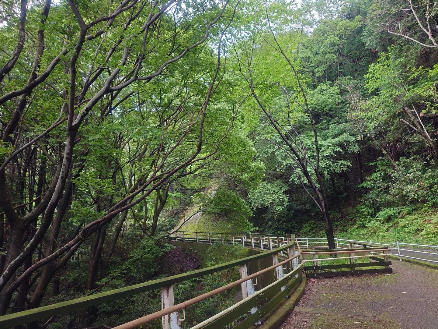 ズット素敵景色✨️
深呼吸していっぱい美味しい空気を体に<⁠(⁠￣⁠︶⁠￣⁠)⁠↗