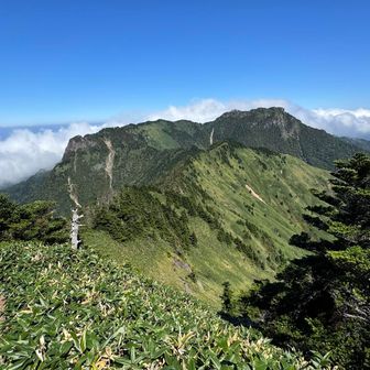 ちょっと遠いので、今日は石鎚山はやめ🫷