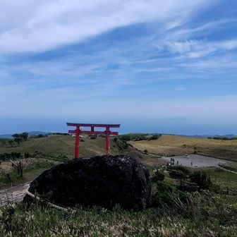 青空に鳥居が映える