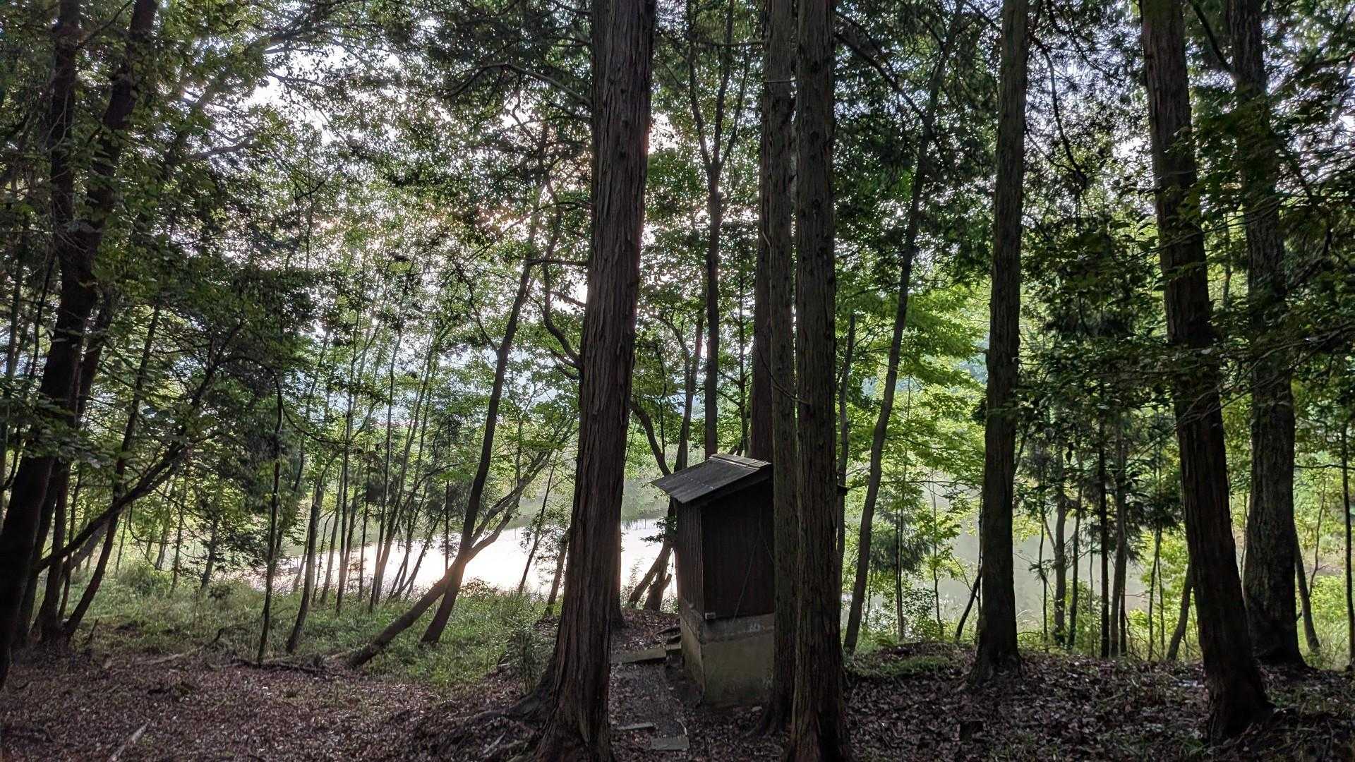 矢筈山登山口-矢筈山 往復コースの写真