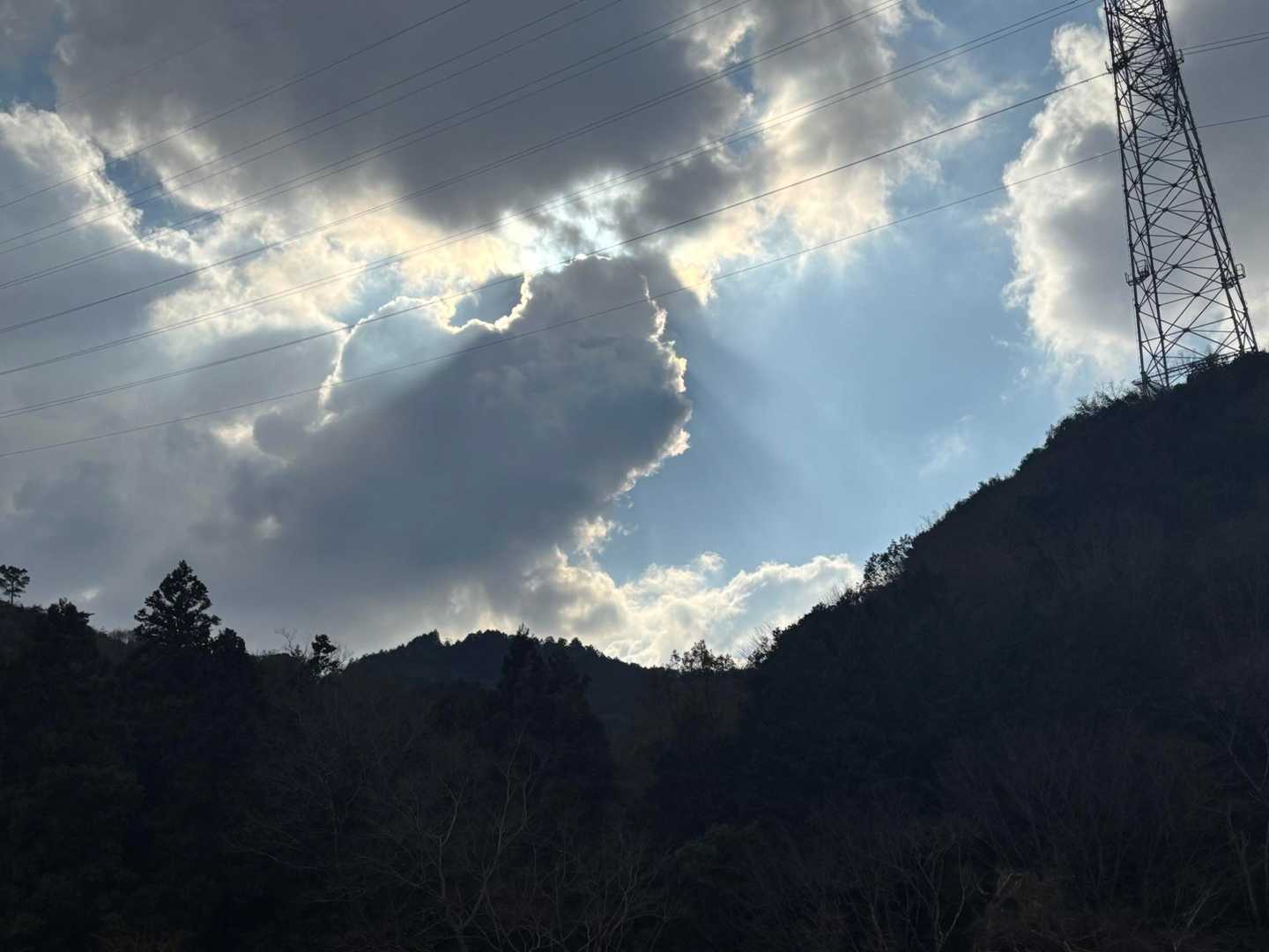 山容