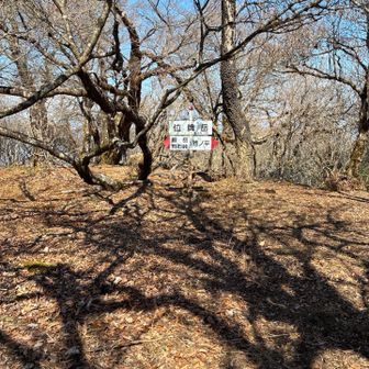 同じくベンチすら無し😥