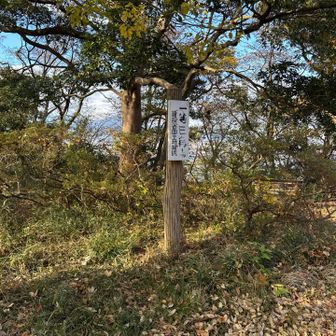 浅間社脇には、日本でもなかなかお目にかかれない一等三角点が。

【浅間社（せんげんしゃ） 解説要約】

江戸時代、人々は雲を突く富士山を神として崇め、「六根清浄」を唱えながら登拝することを理想とした。しかし実際の富士登山は費用・日数の負担が大きく、加えて女人禁制でもあったため、富士山を遠望できる高台や山頂に浅間社を祀り、そこへの参拝をもって富士山への信仰を代替した。

浅間社の主祭神は**木花佐久夜毘売命（このはなさくやひめ）**で、富士の美しさを象徴する桜花に由来する。こうした信仰の広がりにより、浅間社を祀る山が「浅間山」と呼ばれるようになった。

⸻
