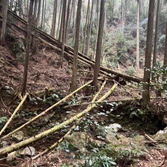 くだってくだって、コケて、帰路につきました。
また行くどー！