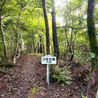 大依山に向かいます。