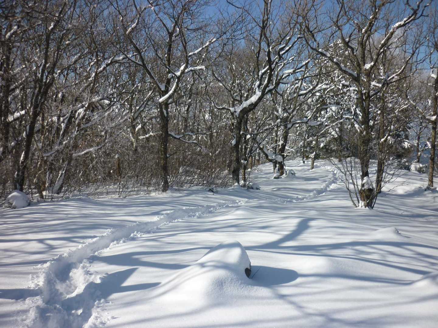 そして、名残惜しむように山頂に別れを告げると