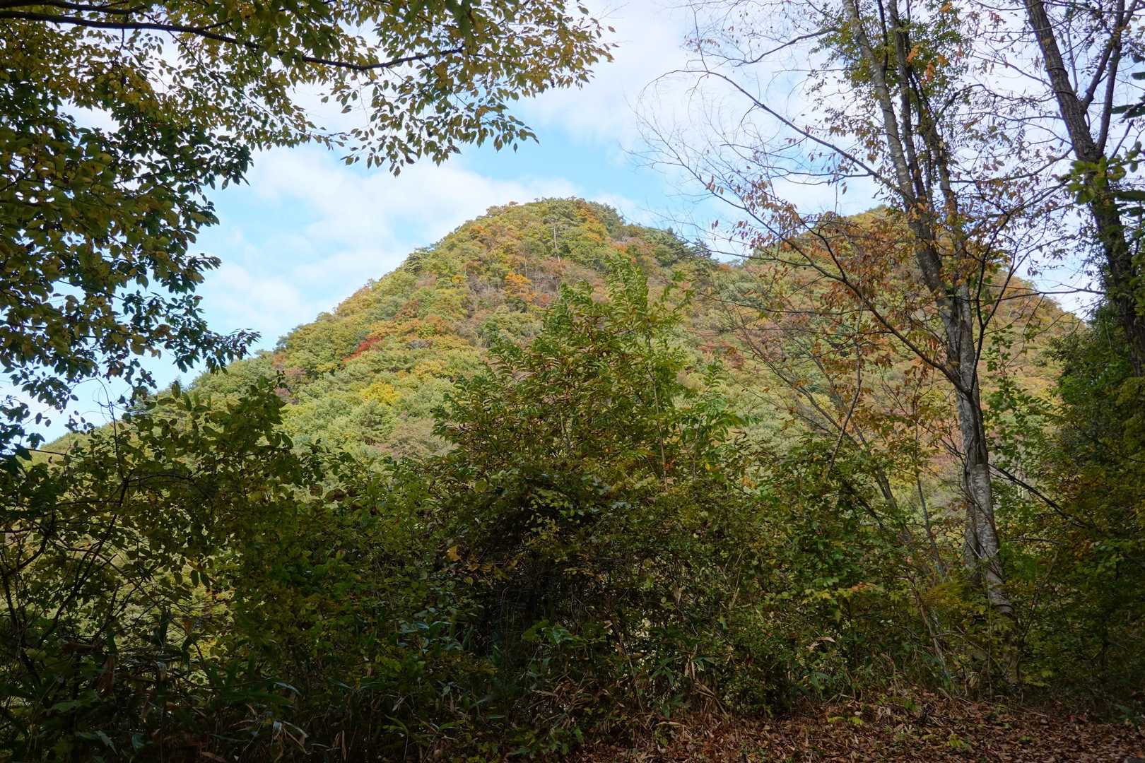 王城山  右手だと思う🤔