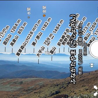 め
