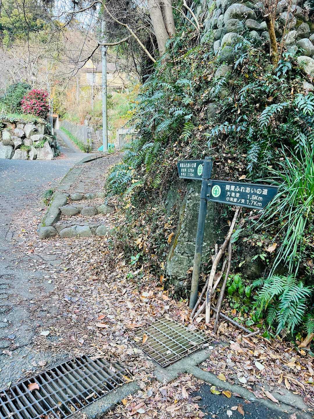 大磯の住宅街まで降りて来ました
お疲れさま