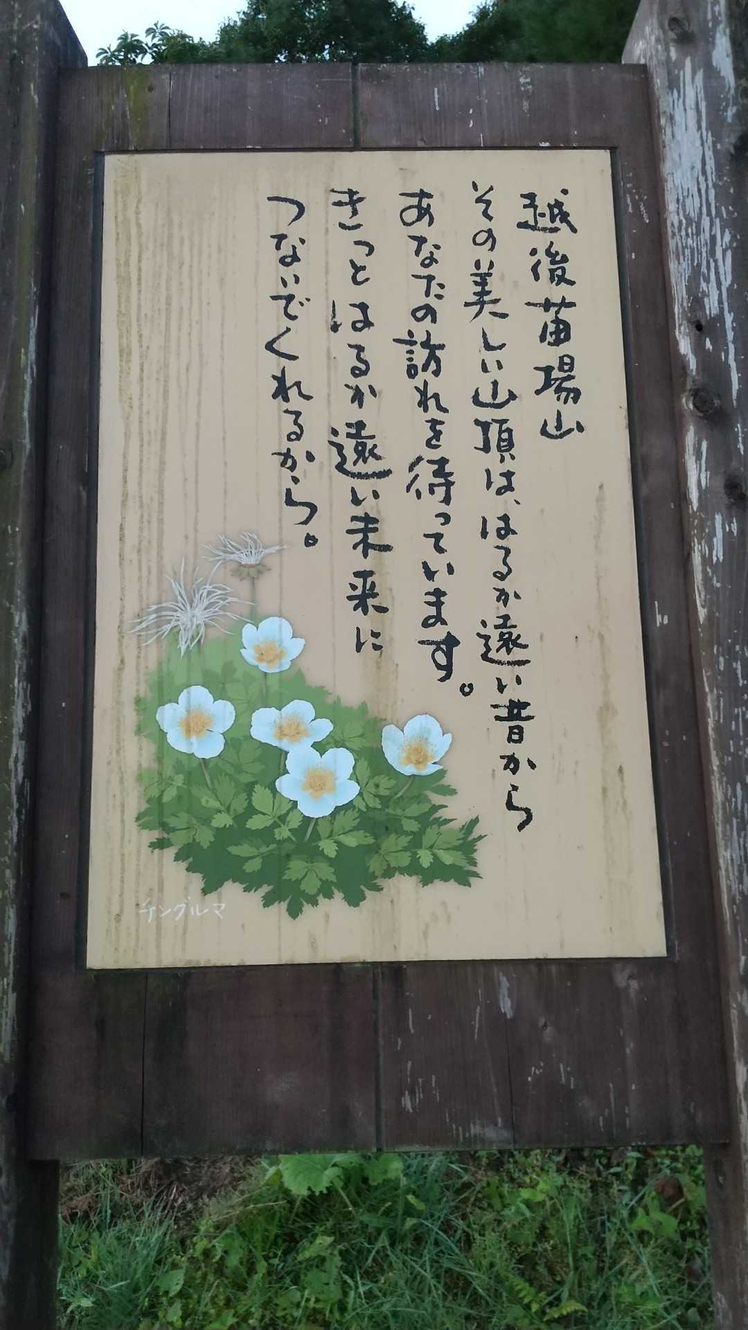 祓川登山口-神楽ヶ峰 往復コースの写真