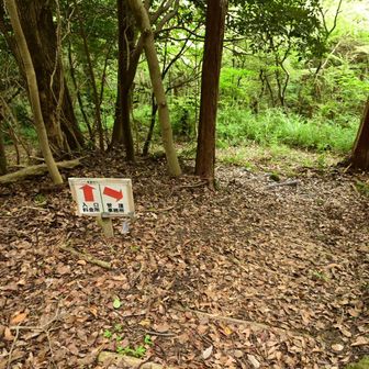 何箇所か管理棟に行く分岐があります
