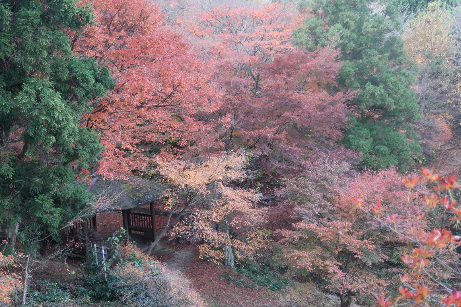 前回は通ってないルートだと思う。東屋が所々。紅葉もちらほら。