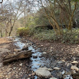 東おたふくの取り付きすぐの小川