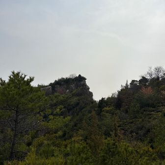 あれが、ゴリラ岩？