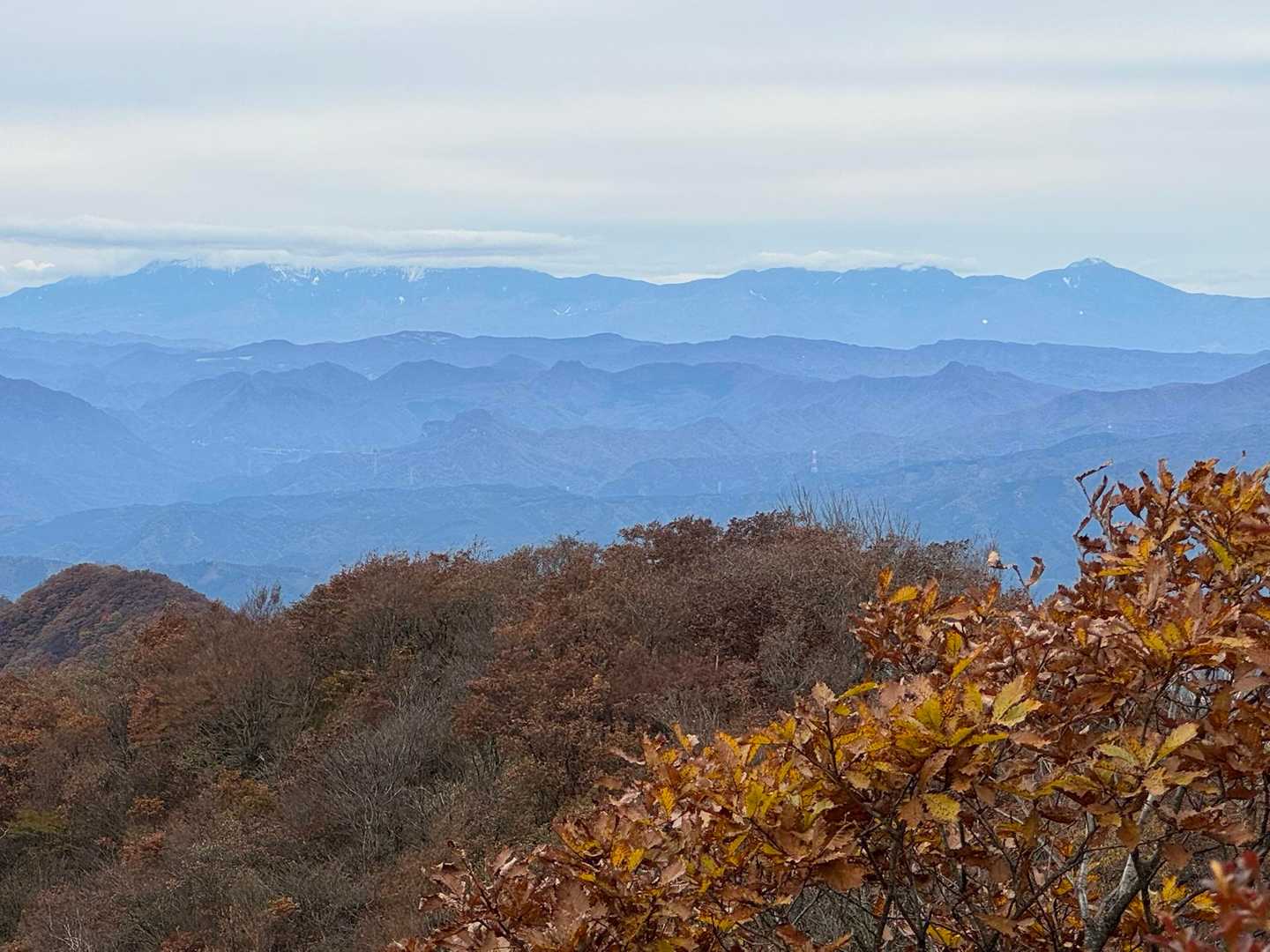 八ヶ岳の方、だと思う