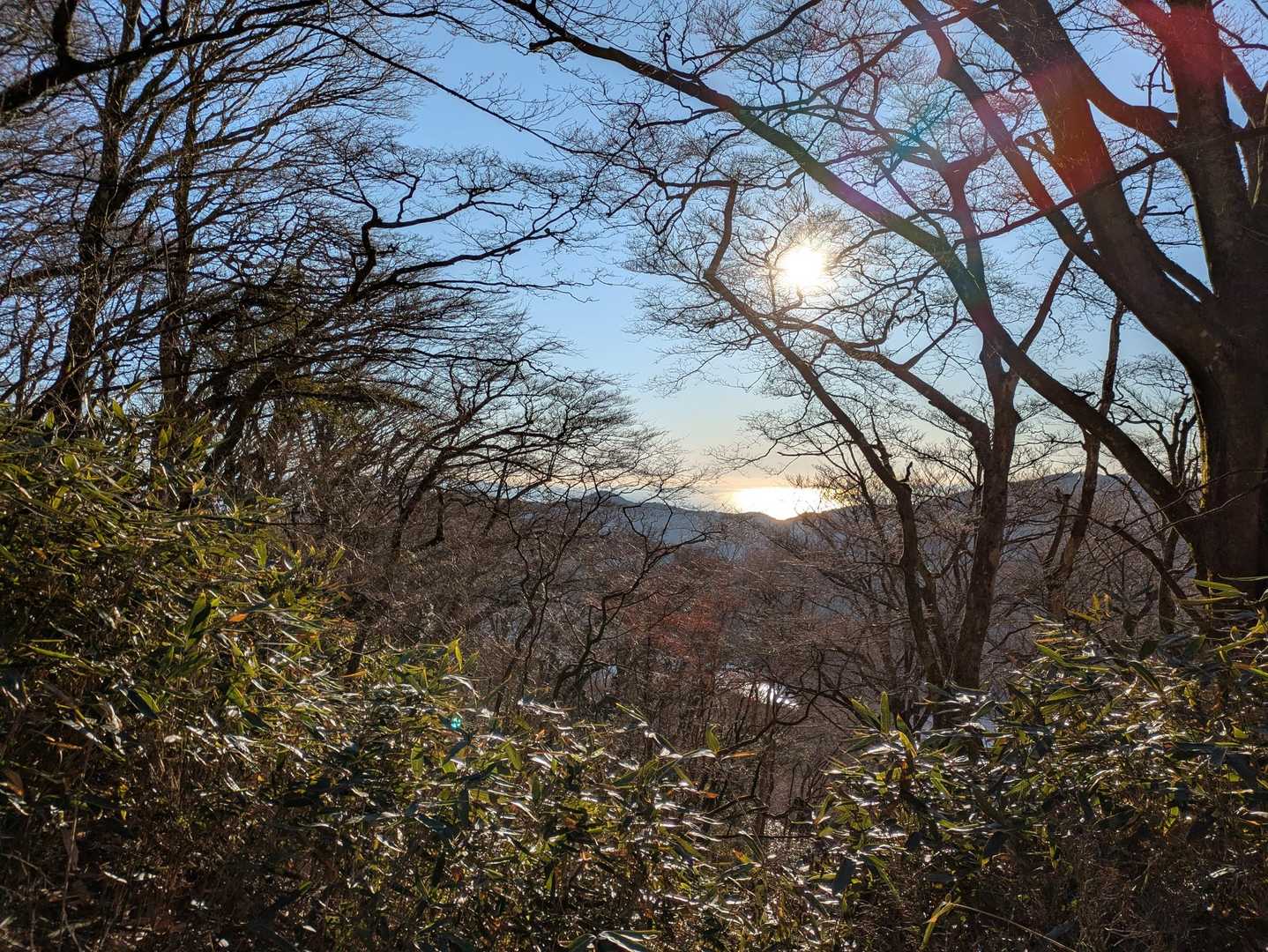 下山道。
木々の間から光が差す。
太陽、海、湖が光っている✨️
