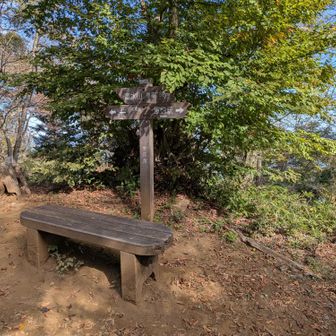 高水山山頂に着きました　がんばって登ったのでスタートから１時間35分で到着できました