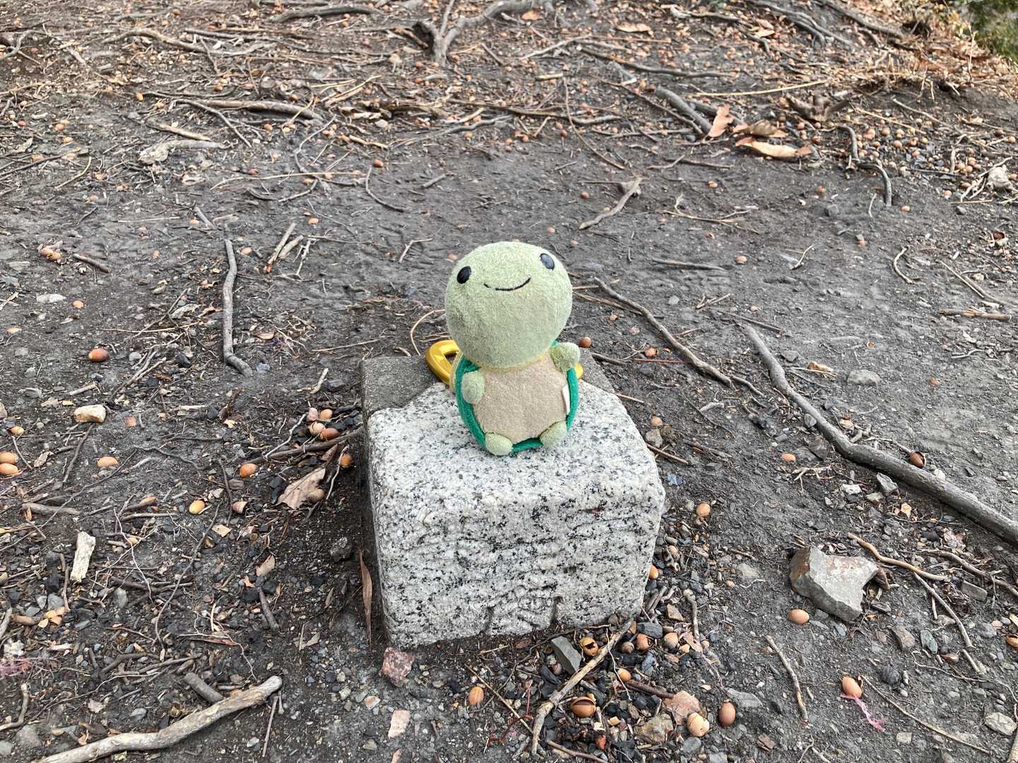 三角点で