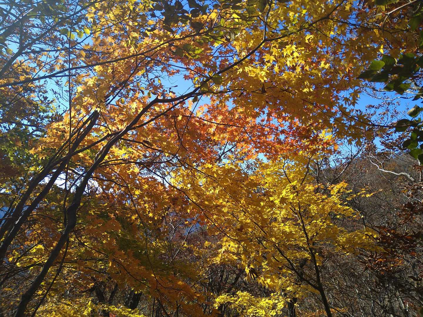 なかなか♪