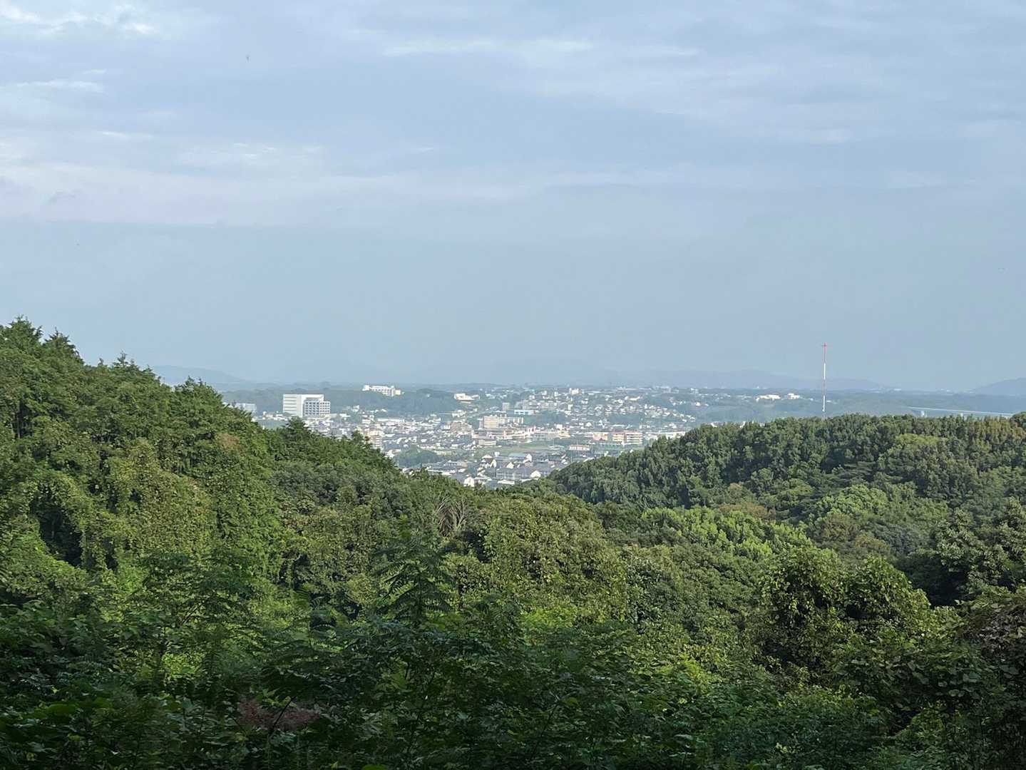 立田山 往復コースの写真