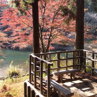 こんなところにバーベキュー場があるんだね！