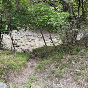 土石流跡を渡ります。