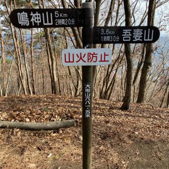 ここから鳴神山まで2時間20分もかかるのかよ、、、
しかもこのコースタイム設定かなりスパルタなんですけど、、、
YAMAPはもっと優しくしてくれるのに😭