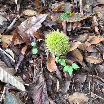 無事に下山😉
秋🌰の訪れがハッキリと🤗