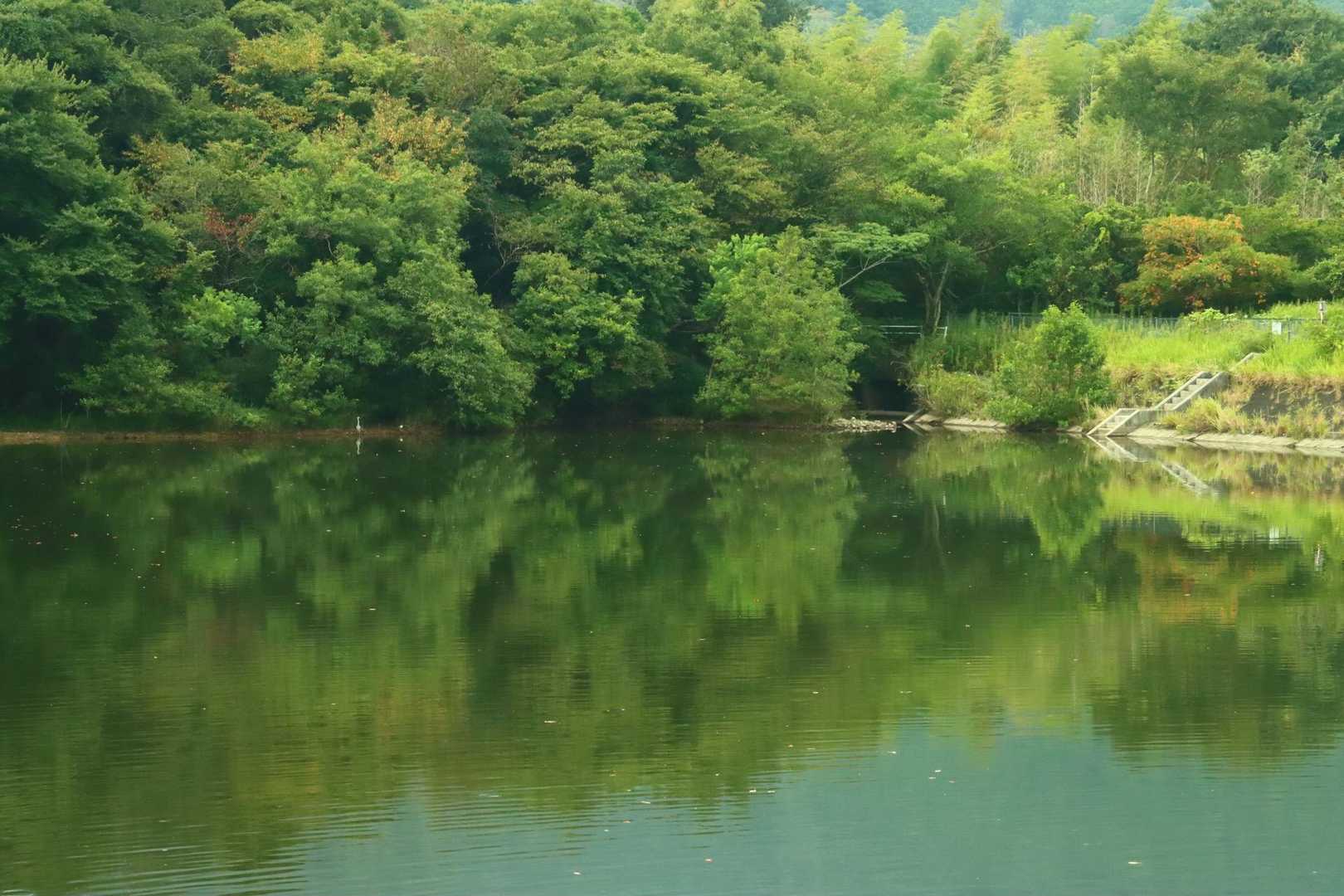 人工池