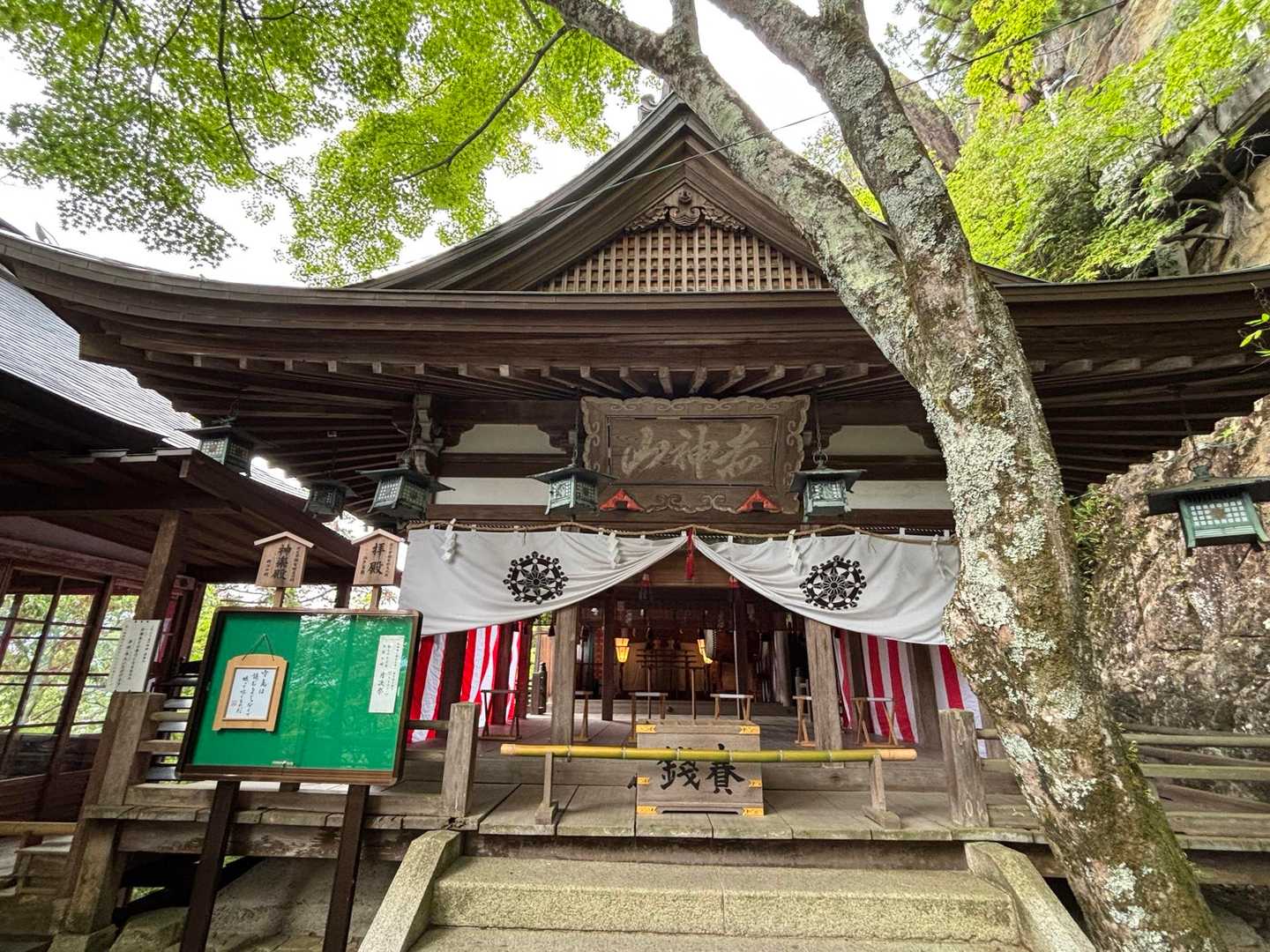 阿賀神社-太郎坊山-みつくり君休憩所-箕作山-小脇山-十三 周回コースの写真