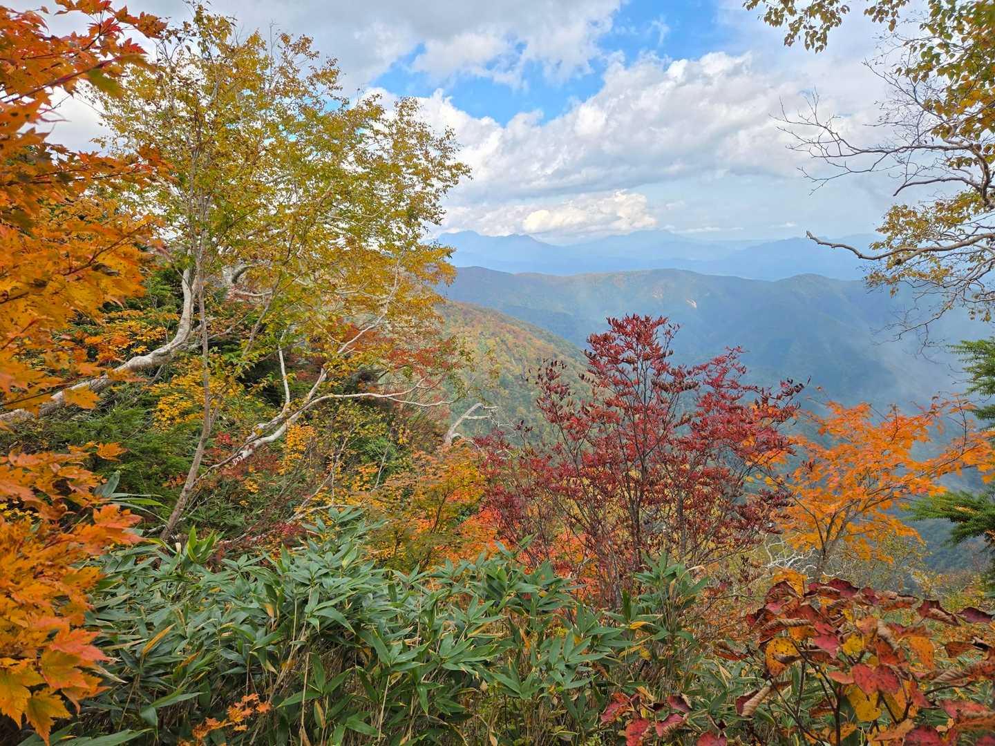 実に紅葉が素敵な尾根でした✨