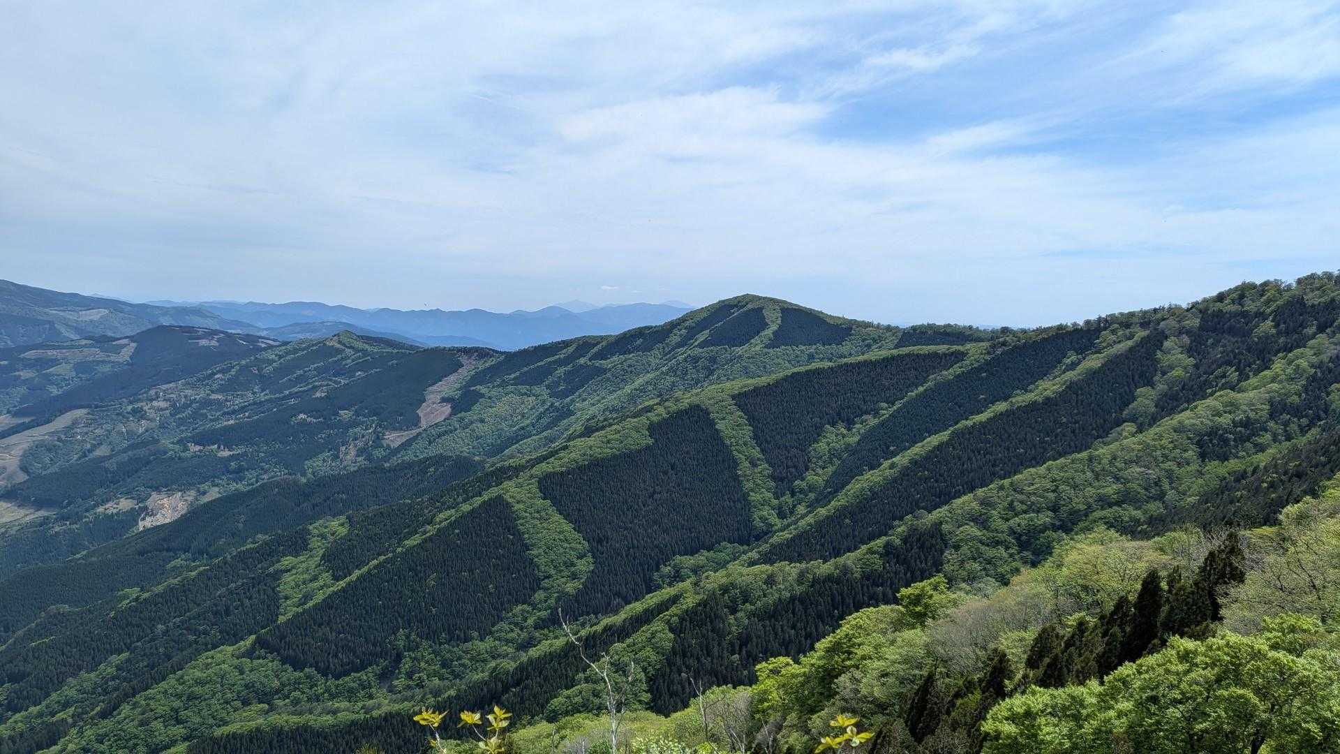 奥のトンガリは銚子笠よね？