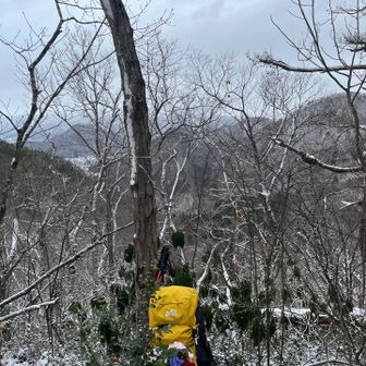 小岡山。山頂標識は無くなってました。
