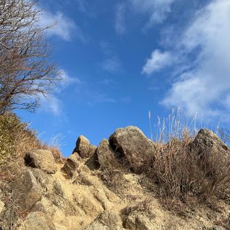 綺麗なブルー🩵