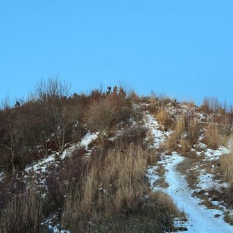 約1時間で守屋山の東峰に到着です。既に大勢の登山者さんがいますね👀　前日に連絡しておいた守屋山117回目のたつさんと、先日守屋山100回を達成されたふじさん、そしてフォローさせて頂いていましたが初めましてのうっちーさんにも合流できました😊　