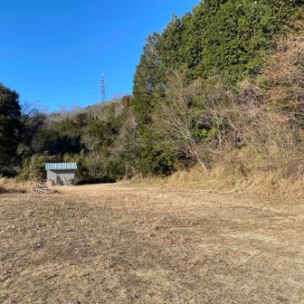 別ルートで降りてきた。