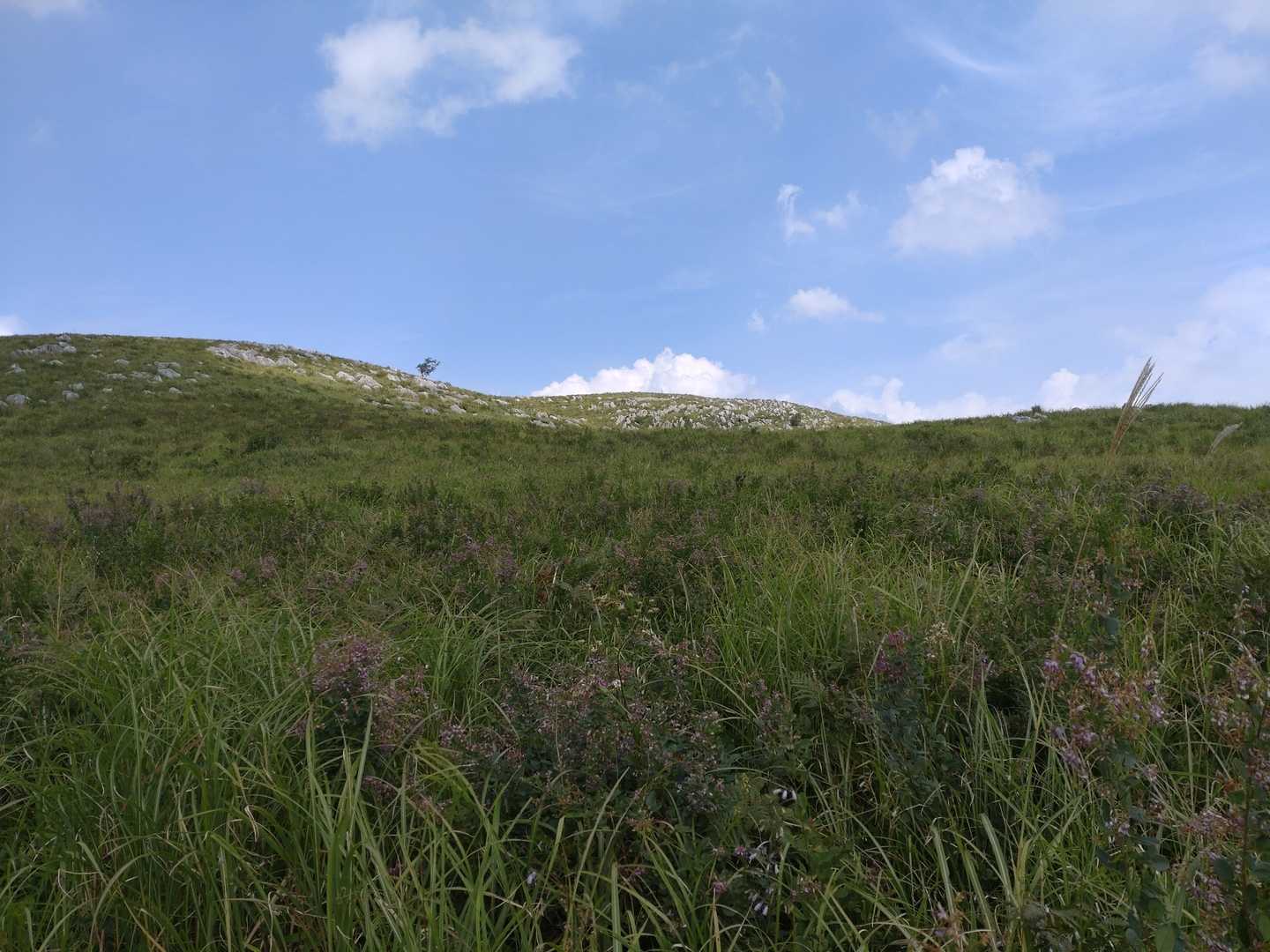 長者ヶ森登山口-地獄台-冠山-北山 周回コースの写真
