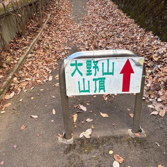 綺麗な舗装路