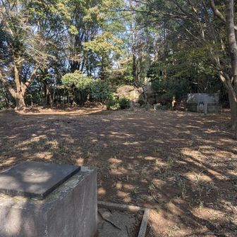 広々としています