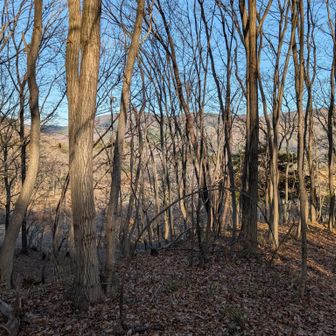 見づらいですが、林の向こうにロープウェイ山麓駅が見えます。