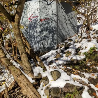 雪はこんなもの？