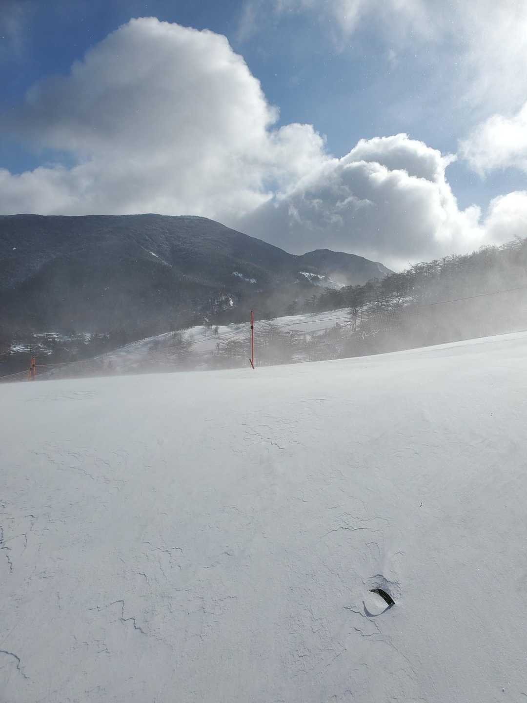 高峰マウンテンスキー場横を登ります💨💨