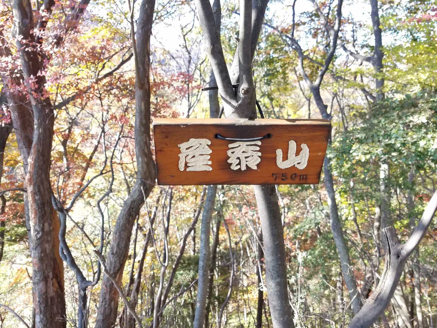 「産泰山 750ｍ」到着。　…で、なんて読むの？