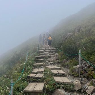 もくもくの中の木道るんるんなる好き