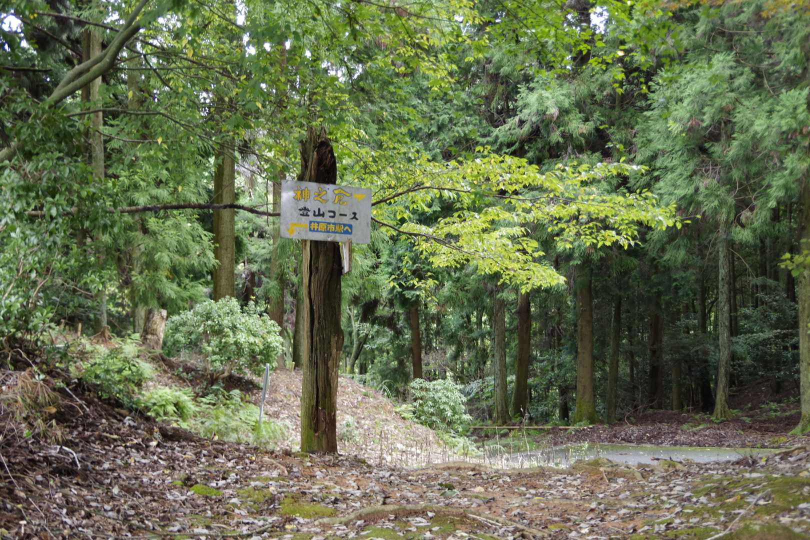 宇宙広場という所から山中の下山道に入るはずが1度通り過ぎました💦
ちょっと解りにくいです😅