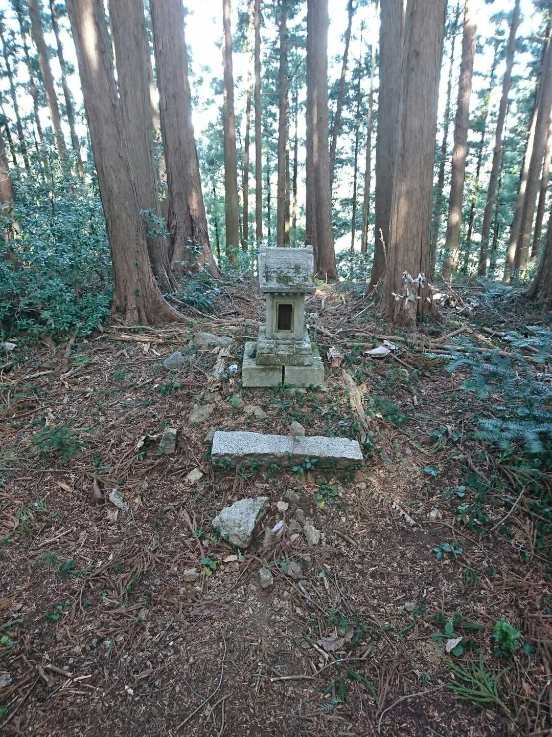 ポッンと祠がある鳥森山（虚空蔵山）▲

虚空って？全然！空は見えなかった〜🤣
